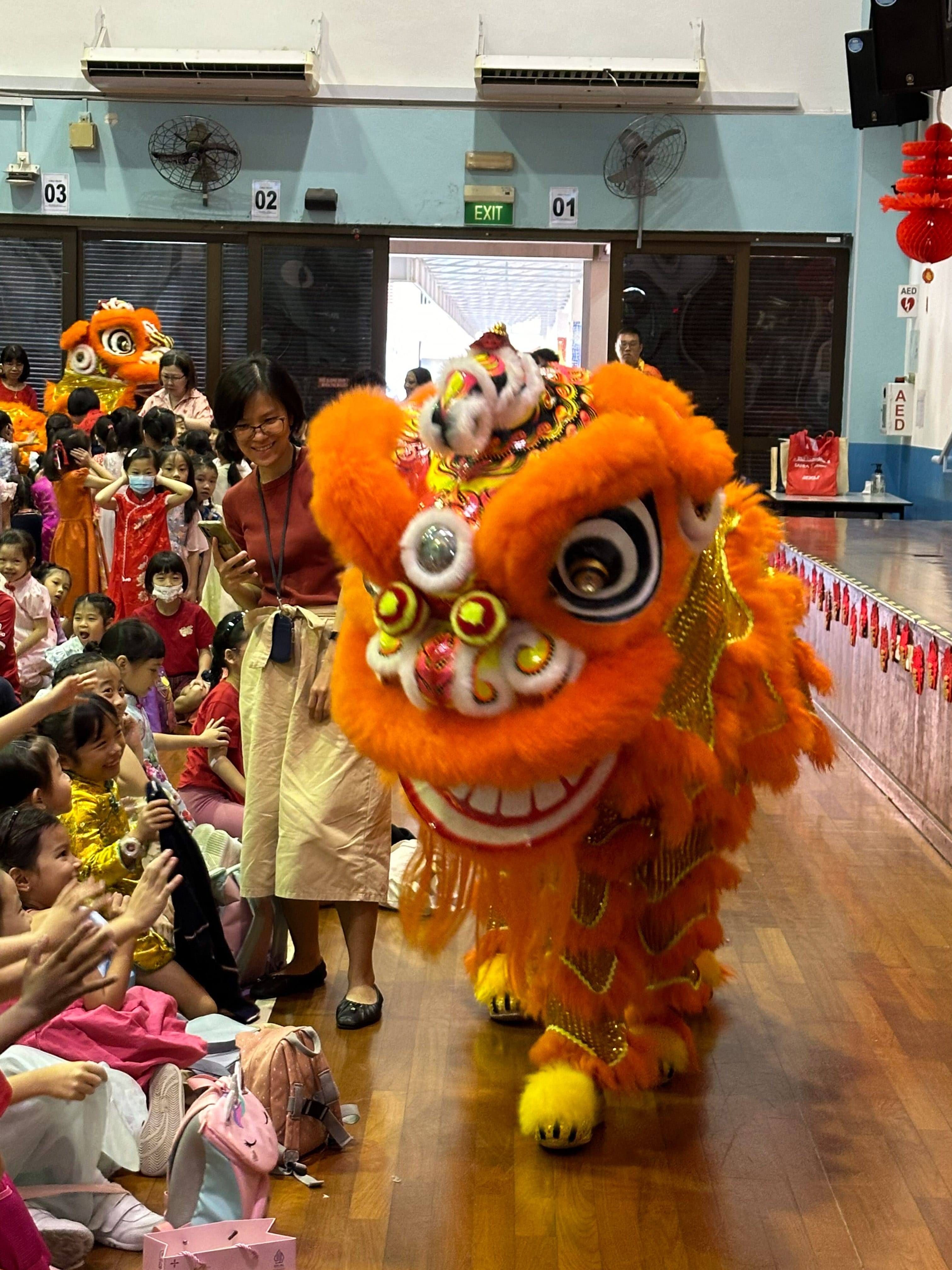 Chinese New Year Celebration